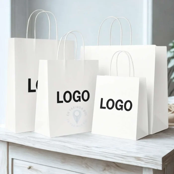 Beyaz Kraft Çanta Baskılı Burgu Saplı